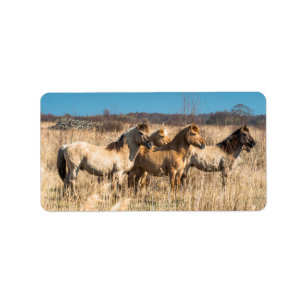 Wild Konik ponies Wicken Fen Cambridgeshire UK Adressaufkleber