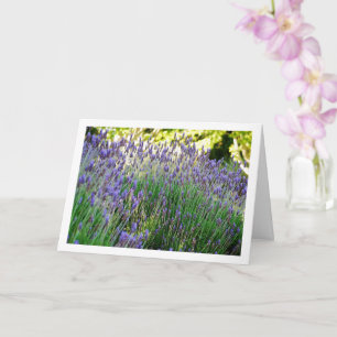 Wild Lavendel-Porträt Karte