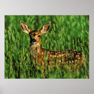 Wild lebende Tiere 11 gestoßen Poster