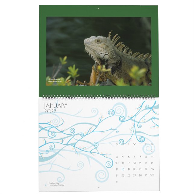wild lebende Tiere Kalender - 2012 (Jan 2027)