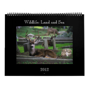 wild lebende Tiere Kalender - 2012