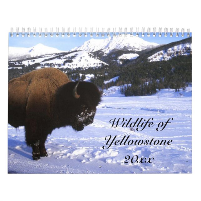 Wild lebende Tiere von Yellowstone Kalender (Titelbild)
