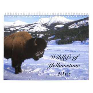 Wild lebende Tiere von Yellowstone Kalender