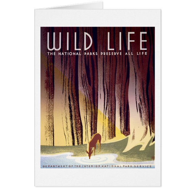 Wild lebende Tiere WPA-Plakat (Rotwild) (Vorne)