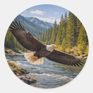 Wild lebender Weißkopfseeadler im Flug Runder Aufkleber