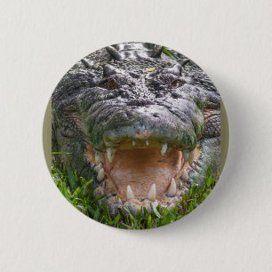 Wild lebendes Meerwasser-Krokodil, offene Mundöff Button