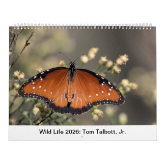 Wild Life 2026 Calendar Kalender