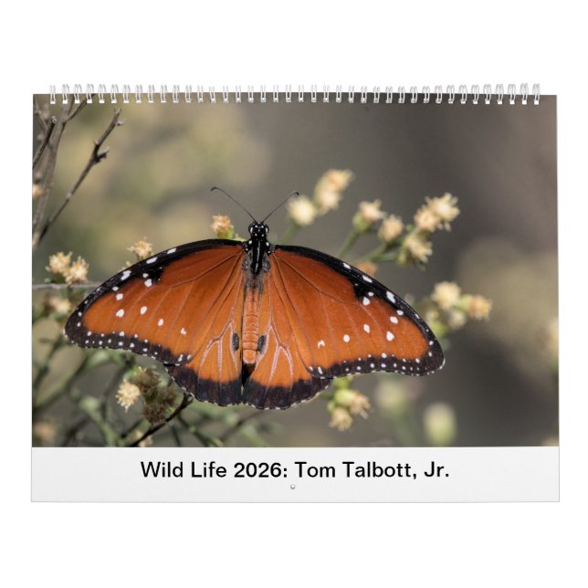 Wild Life 2026 Calendar Kalender (Titelbild)