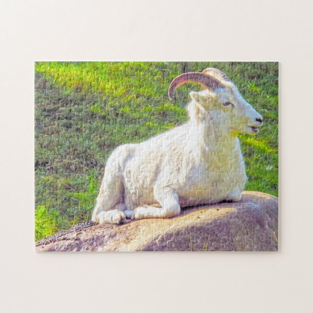 Wild Life Canada. Big Horn Sheep. Puzzle (Horizontal)
