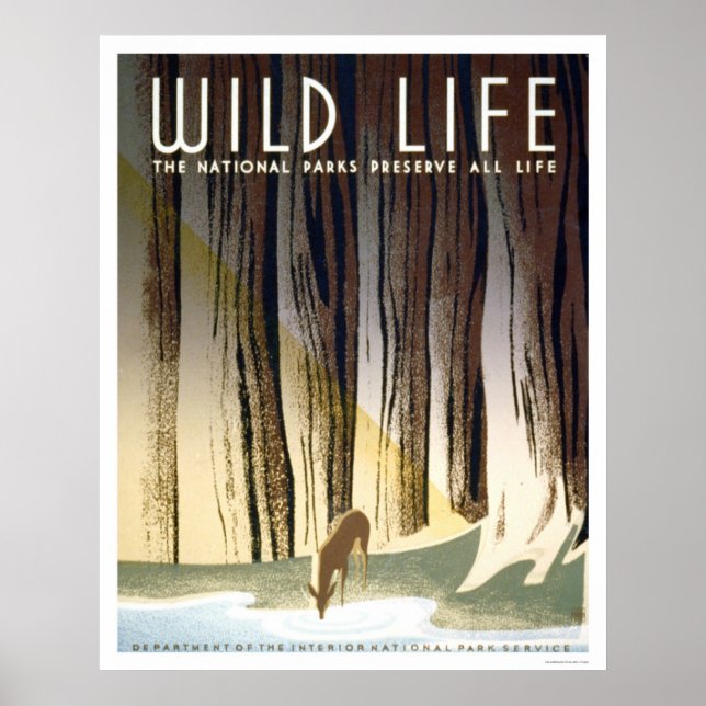 Wild Life National Park 1940 WPA Poster (Vorne)