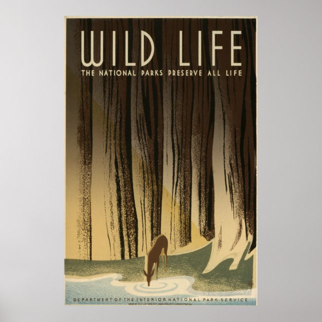 Wild Life Poster (Vorne)