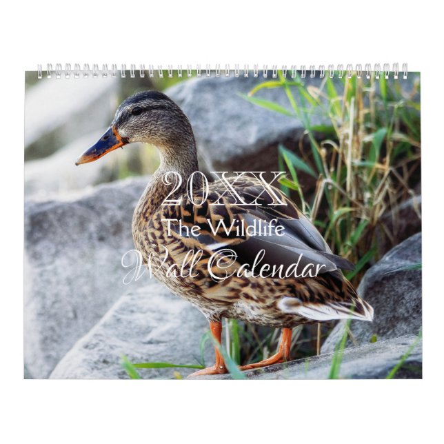 Wild Life Wall Calendar - HAMbWG Kalender (Titelbild)