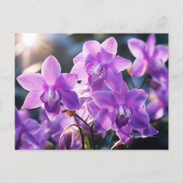 WILD LILA ORCHID AUS DOMINIKA POSTKARTE