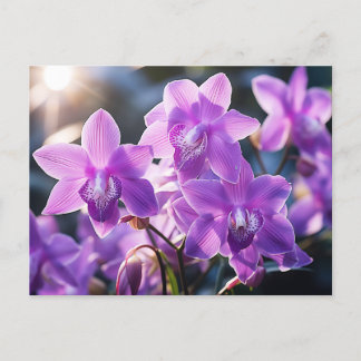 WILD LILA ORCHID AUS DOMINIKA POSTKARTE