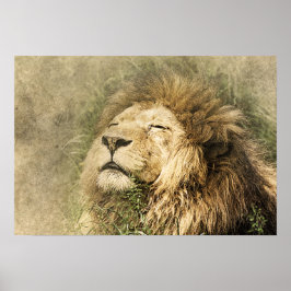 Wild Lion Safari Jungle Artwork Foto Poster