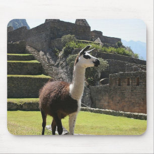 Wild Llama Near Ruins Mousepad