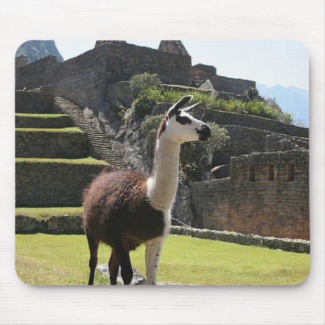 Wild Llama Near Ruins Mousepad (Vorne)