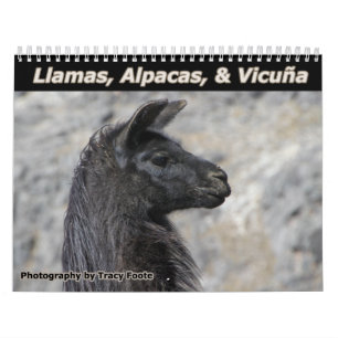 Wild Llamas und Alpacas Kalender