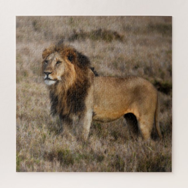 Wild Male African Lion Puzzle (Vertikal)