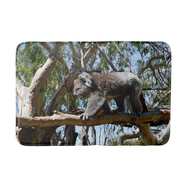 Wild Male Australian Koala Walking, Memory Foam Badematte (Vorderseite)