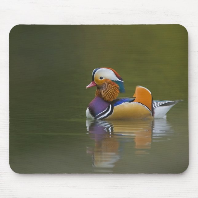 Wild Mandarin Duck Aix galericulata) auf dunkel Mousepad (Vorne)