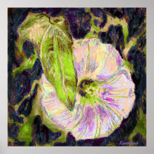 Wild Morning Glory von Alexandra Cook Poster