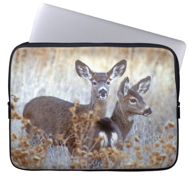 Wild Mule Deer Pair | Kalifornien Laptopschutzhülle (Vorderseite)