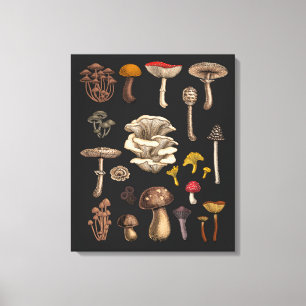 Wild Mushrooms on Grafit Leinwanddruck