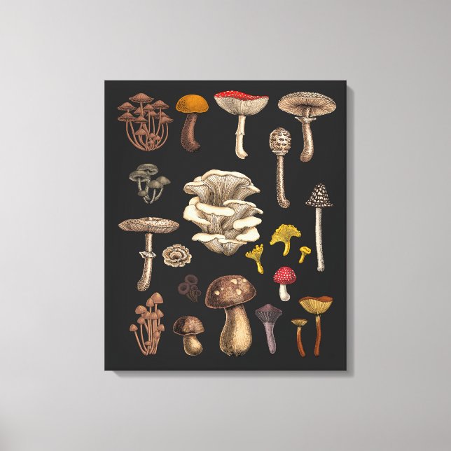 Wild Mushrooms on Grafit Leinwanddruck (Vorderseite)