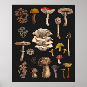 Wild Mushrooms on Grafit Poster