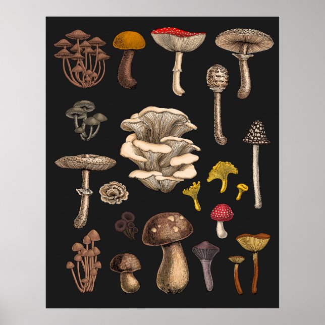 Wild Mushrooms on Grafit Poster (Vorne)