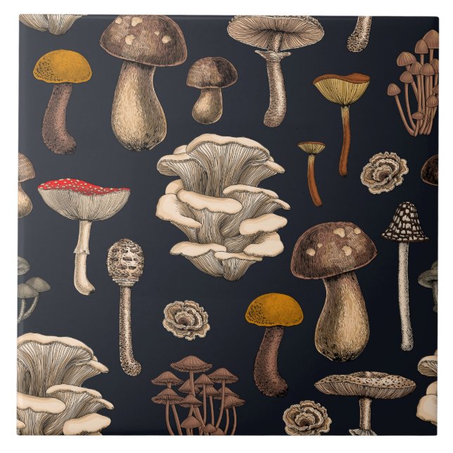 Wild Mushrooms  on graphite black Fliese (Vorderseite)