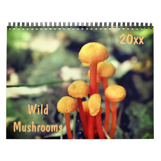Wild Mushrooms Photography  Kalender (Titelbild)