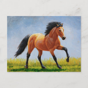 Wild Mustang Buckskin Horning Postkarte