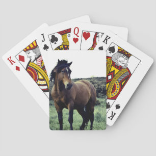 Wild Mustang Deck of Cards Spielkarten