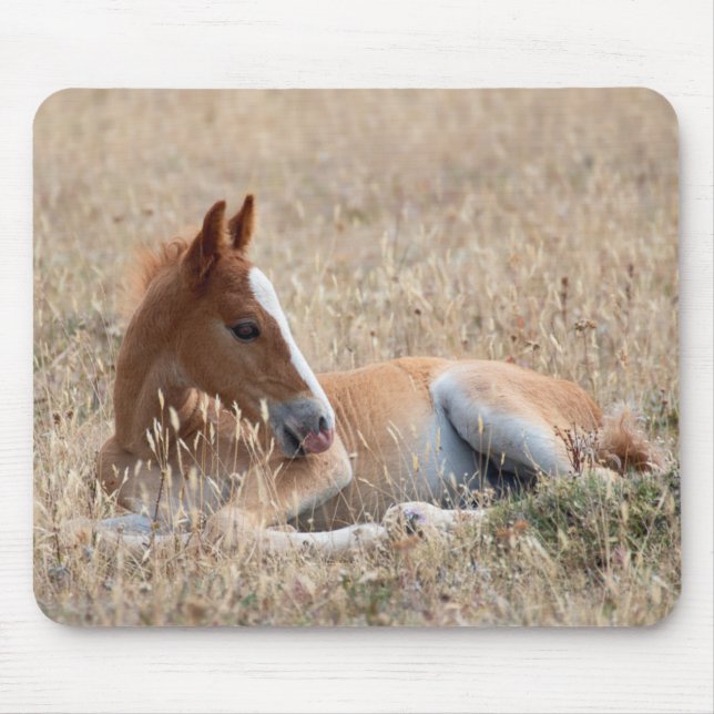Wild Mustang Foal Mousepad (Vorne)