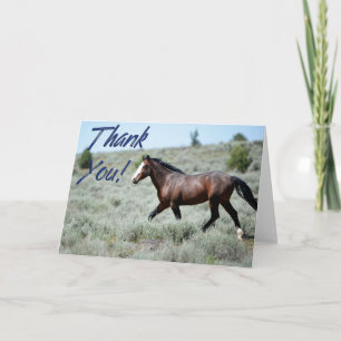 Wild Mustang Foto Danke, Card Dankeskarte