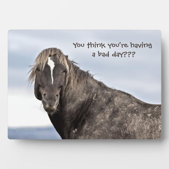 Wild Mustang Fotoplatte (Vorderseite)