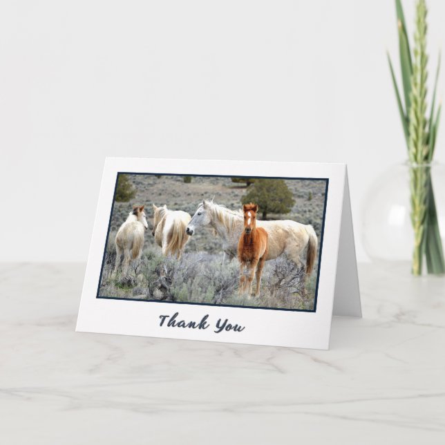 Wild Mustang Herd Foto Danke, Card Dankeskarte (Vorderseite)