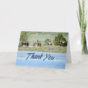 Wild Mustang Herd Foto Danke, Card Dankeskarte