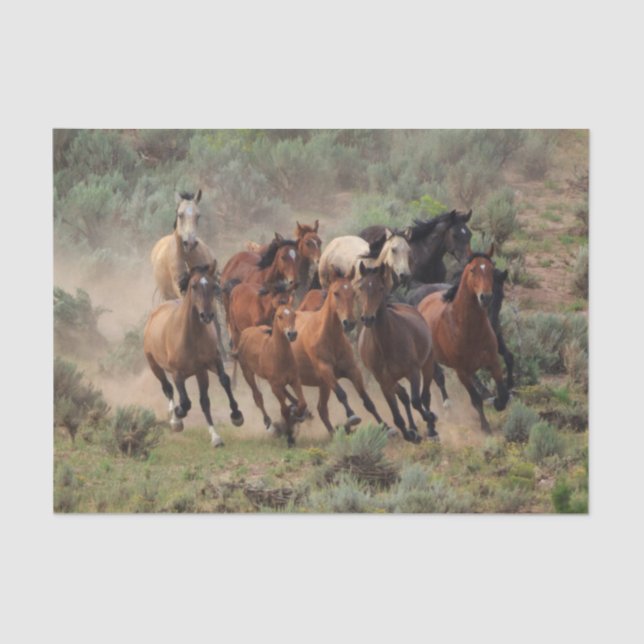 Wild Mustang Herd Seidenpapier (Vorderseite)