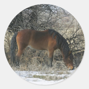 Wild Mustang Horse im Schnee 1 Runder Aufkleber