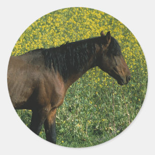 Wild Mustang Horse Stehend in Blume Runder Aufkleber