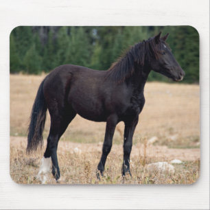 Wild Mustang Mousepad
