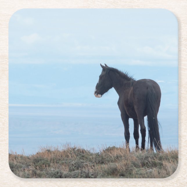 Wild Mustang Rechteckiger Pappuntersetzer (Vorderseite)