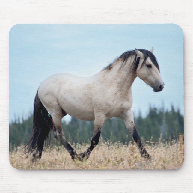 Wild Mustang Stallion Mousepad (Vorne)