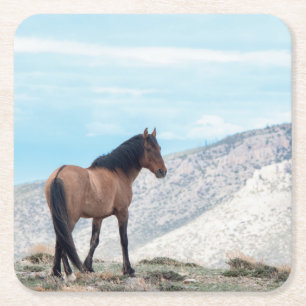 Wild Mustang Stallion Rechteckiger Pappuntersetzer