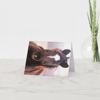 Wild Mustange Oklahoma Dankeskarte