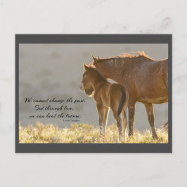 Wild Mustangs Forever Postcard Postkarte