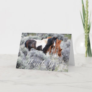 Wild Mustangs Foto Danke, Card Dankeskarte